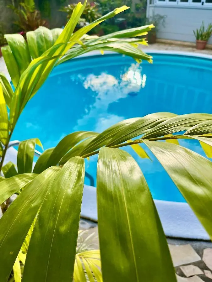Tiaki Guesthouse - Cozy Modern Studio - 5Min Drive From The Beach And Punaauia Center Appartement Punaauia (Tahiti)