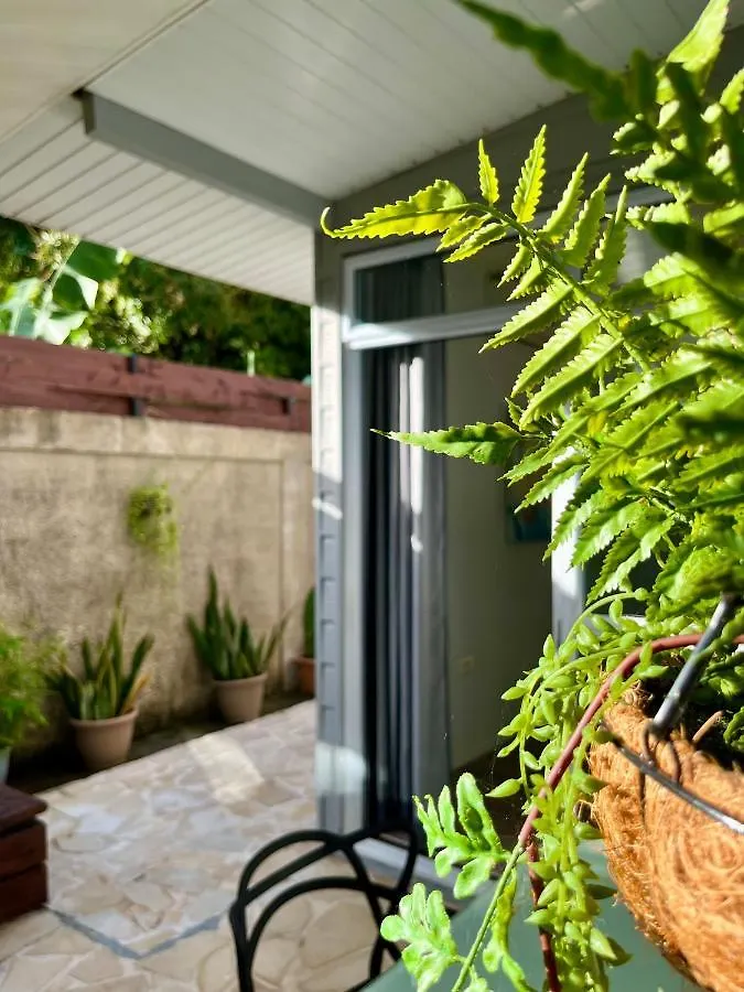 Tiaki Guesthouse - Cozy Modern Studio - 5Min Drive From The Beach And Punaauia Center Punaauia (Tahiti)