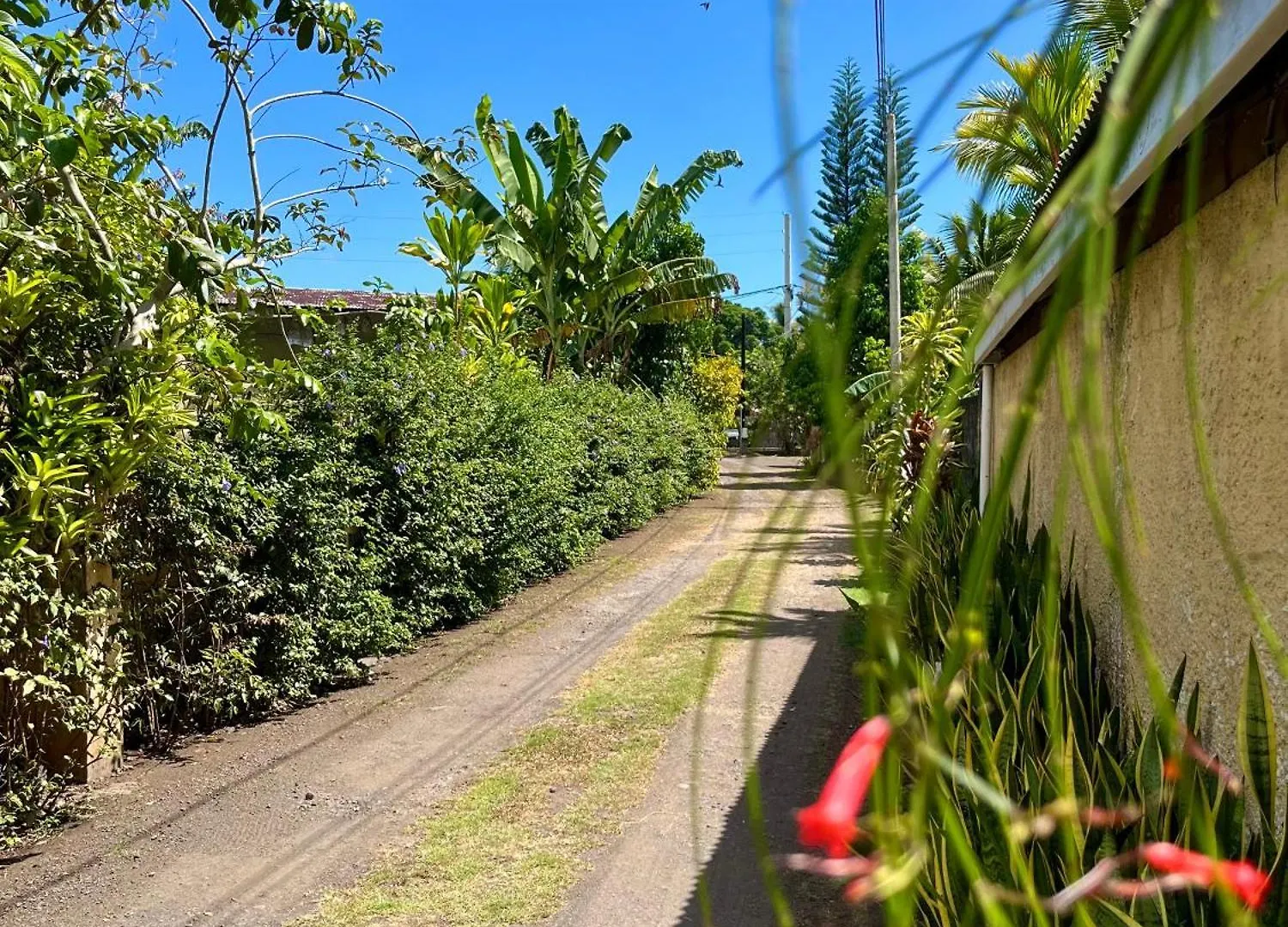 Tiaki Guesthouse - Cozy Modern Studio - 5Min Drive From The Beach And Punaauia Center 0*, Punaauia (Tahiti)